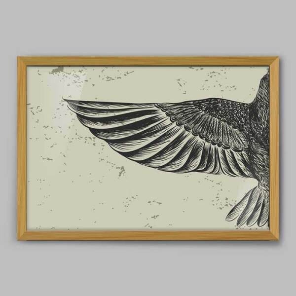 Quadro Animal Asa de Pássaro - 45x30cm - Moldura Caixa Madeira - 1