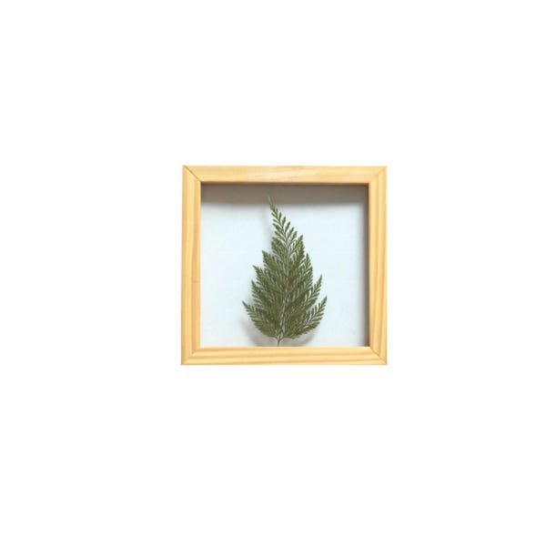Quadro 15x15 cm Folha desidratada natural Renda Portuguesa Moldura Pinus - 1