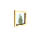 Ver imagem 2 de Quadro 15x15 Cm Folha Desidratada Natural Renda Portuguesa Moldura Pinus
