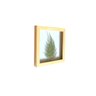 Quadro 15x15 cm Folha desidratada natural Renda Portuguesa Moldura Pinus - 2