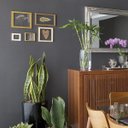 Ver imagem 3 de Quadro 15x15 Cm Folha Desidratada Natural Renda Portuguesa Moldura Pinus