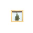 Ver imagem 1 de Quadro 15x15 Cm Folha Desidratada Natural Renda Portuguesa Moldura Pinus
