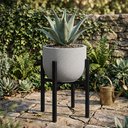 Ver mais imagens de Suporte para Vasos de Plantas Cachepot em Metal Desmontável 40cm Preto