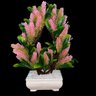 Bonsai Artificial Etéreo Super Nova Pinha Pink Vaso Branco - 5
