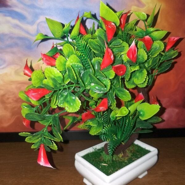Bonsai Artificial Etéreo Iris Copo Vermelho Vaso Branco - 4