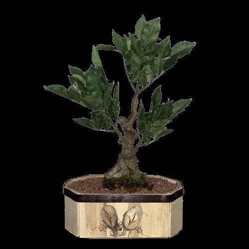 Bonsai Artificial Etéreo Árvore Ficus Cachepot Madeira - 2