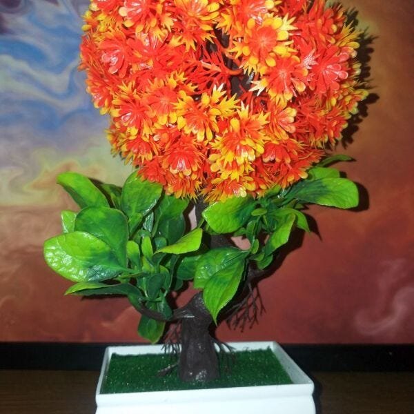 Bonsai Artificial Etéreo Boreal Laranja Vaso Branco Pedrisco - 5