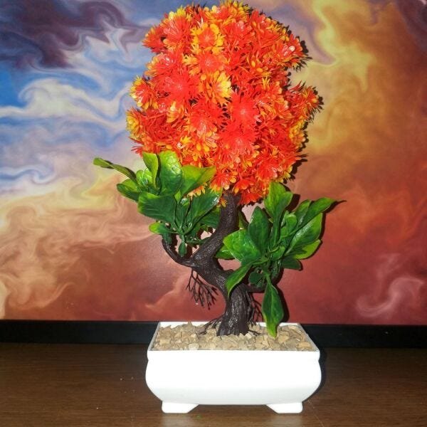 Bonsai Artificial Etéreo Boreal Laranja Vaso Branco Pedrisco - 1