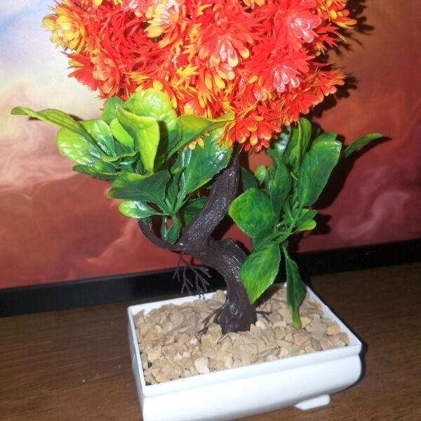 Bonsai Artificial Etéreo Boreal Laranja Vaso Branco Pedrisco - 2