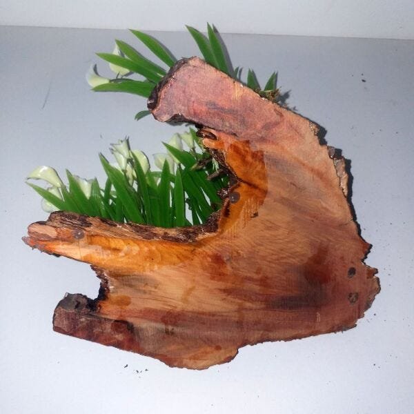 Bonsai Artificial Etéreo Meteorito Floral CLeite MG Nó Pinho - 5