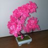 Bonsai Artificial Etéreo Árvore Atlas Pink no Vaso Branco - 6
