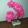 Bonsai Artificial Etéreo Árvore Atlas Pink no Vaso Branco - 3