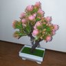 Bonsai Artificial Etéreo Elétron Pinha Duo Rosa Vaso Branco - 4