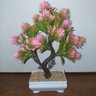 Bonsai Artificial Etéreo Elétron Pinha Duo Rosa Vaso Branco - 1
