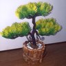 Bonsai Artificial Etéreo Century Pinha Amarelo Vaso Rústico - 7