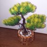 Bonsai Artificial Etéreo Century Pinha Amarelo Vaso Rústico - 6