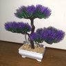 Bonsai Artificial Etéreo Century Pinha Roxo Vaso Branco - 3