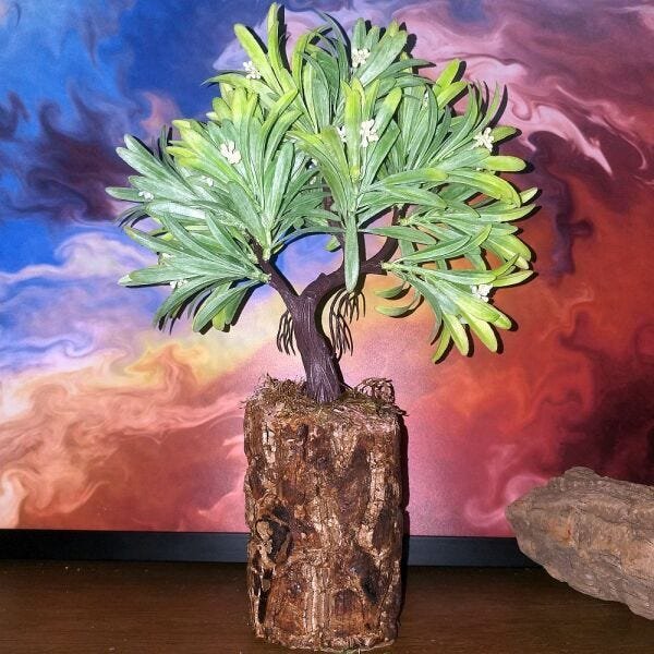 Bonsai Artificial Etéreo Elétron Semente Brancas Tronco Oco - 1