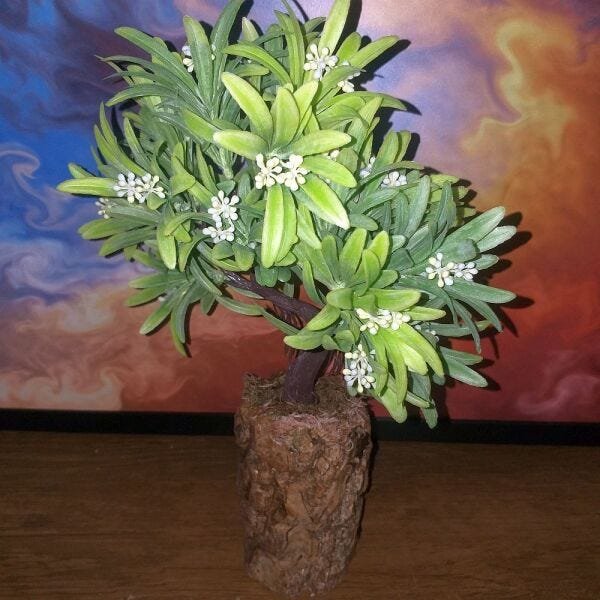 Bonsai Artificial Etéreo Elétron Semente Brancas Tronco Oco - 5