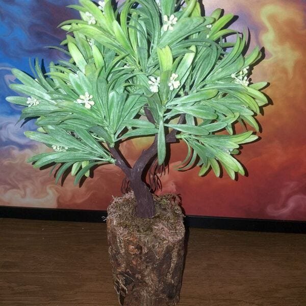 Bonsai Artificial Etéreo Elétron Semente Brancas Tronco Oco - 6