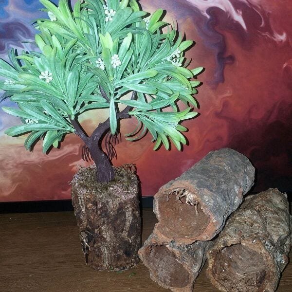 Bonsai Artificial Etéreo Elétron Semente Brancas Tronco Oco - 2