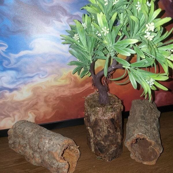 Bonsai Artificial Etéreo Elétron Semente Brancas Tronco Oco - 3