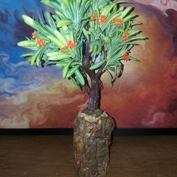 Bonsai Artificial Etéreo Elétron Semente Laranja Tronco Oco - 3