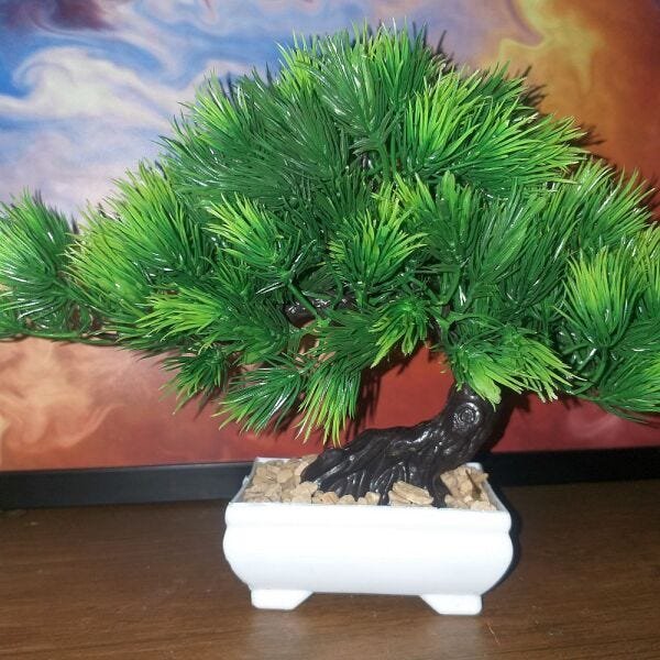 Bonsai Artificial Etéreo Cósmico Pinho Vaso Branco Pedrisco - 5