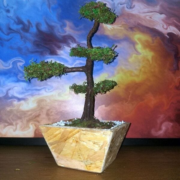 Bonsai Artificial Etéreo Mediterrâneo Real Cachepot Eco - 3