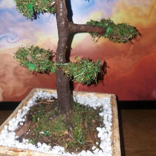 Bonsai Artificial Etéreo Mediterrâneo Real Cachepot Eco - 5