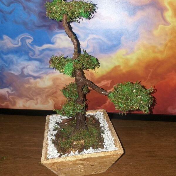 Bonsai Artificial Etéreo Mediterrâneo Real Cachepot Eco - 6