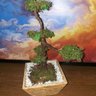 Bonsai Artificial Etéreo Mediterrâneo Real Cachepot Eco - 6