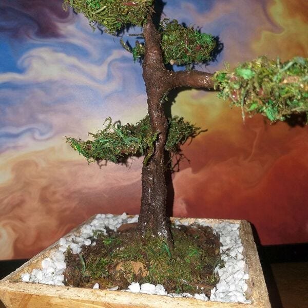 Bonsai Artificial Etéreo Mediterrâneo Real Cachepot Eco - 2