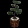 Bonsai Artificial Etéreo Pinheiro Negro Pinha Casca Redondo - 5
