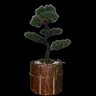 Bonsai Artificial Etéreo Pinheiro Negro Pinha Casca Redondo - 1