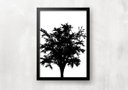 Ver imagem 4 de Kit 3 Quadros para Casa - Árvores
