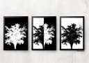 Ver imagem 1 de Kit 3 Quadros para Casa - Árvores