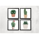 Ver imagem 1 de Kit 4 Quadros Cacto