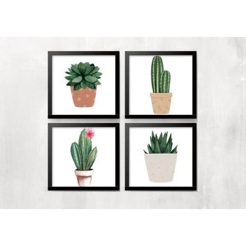 Kit 4 Quadros Cacto