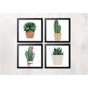 Ver imagem 1 de Kit 4 Quadros Cacto