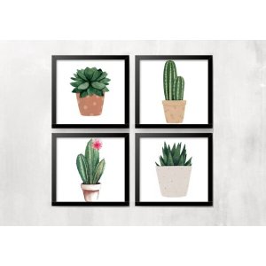 Kit 4 Quadros Cacto