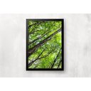 Ver imagem 3 de Kit 3 Quadros para casa - Copa de Árvore