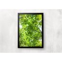 Ver imagem 2 de Kit 3 Quadros para casa - Copa de Árvore