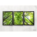 Ver imagem 1 de Kit 3 Quadros para casa - Copa de Árvore