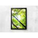 Ver imagem 4 de Kit 3 Quadros para casa - Copa de Árvore