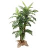Arvore Tropical Planta Planta Palmeira 3 Troncos 180cm 45 Folhas - 1