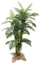 Ver imagem 1 de Arvore Tropical Planta Planta Palmeira 3 Troncos 180cm 45 Folhas