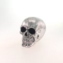 Ver imagem 1 de DECORAÇÃO CAVEIRA RESINA DE VARIAS CORES - ENFEITE - Prata