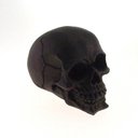 Ver imagem 1 de DECORAÇÃO CAVEIRA RESINA DE VARIAS CORES - ENFEITE - Preto