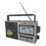 Rádio Portátil Lehmox Les-698Ur 11 Faixas USB/Sd Am/Fm: Cinza - 9